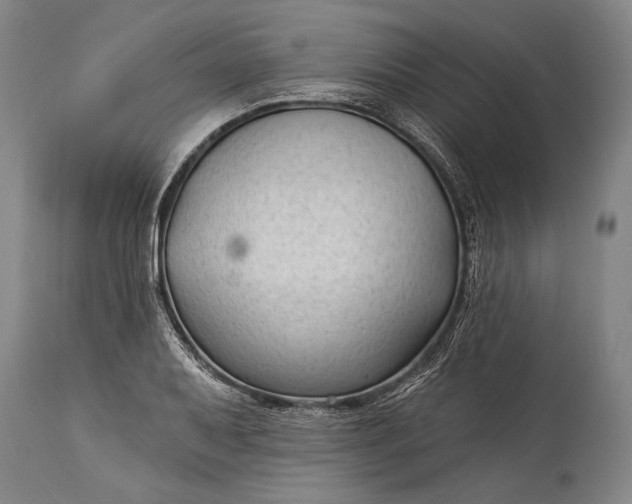 X0000115291079200911161628