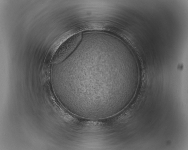 X0000115291081200911161628