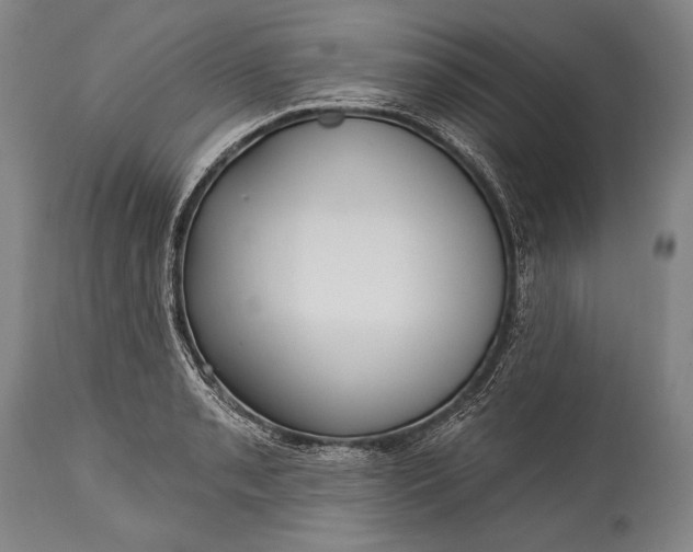 X0000115291085200911161628