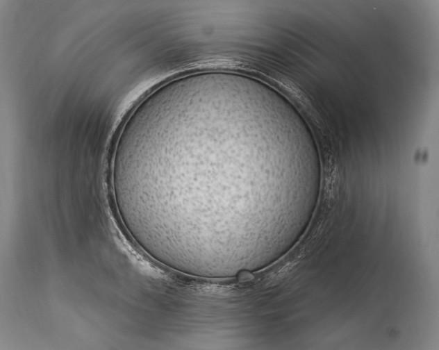 X0000115291086200911161628