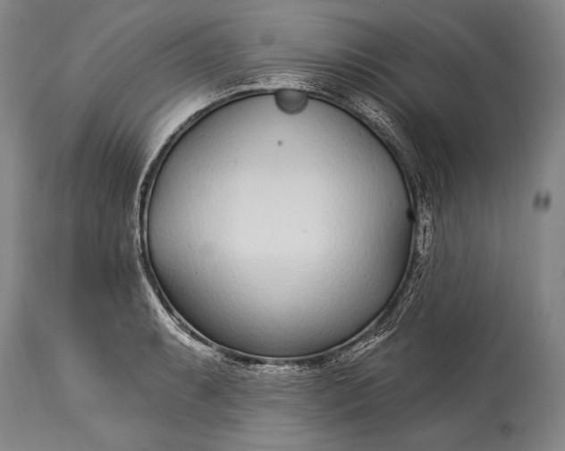 X0000115291087200911161628