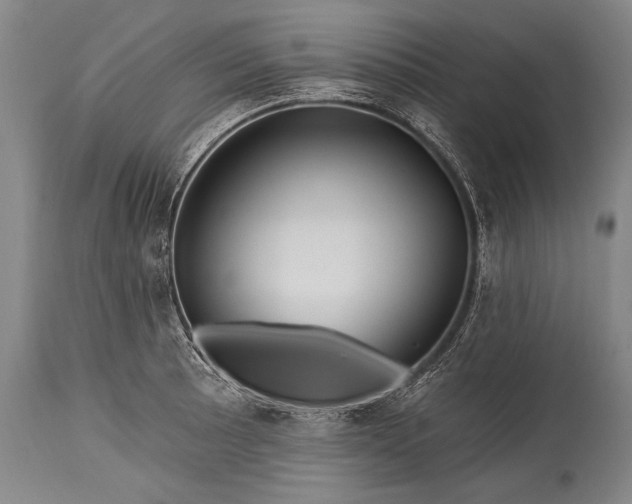 X0000115291089200911161628