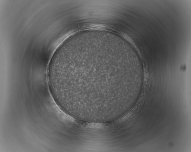 X0000115291090200911161628