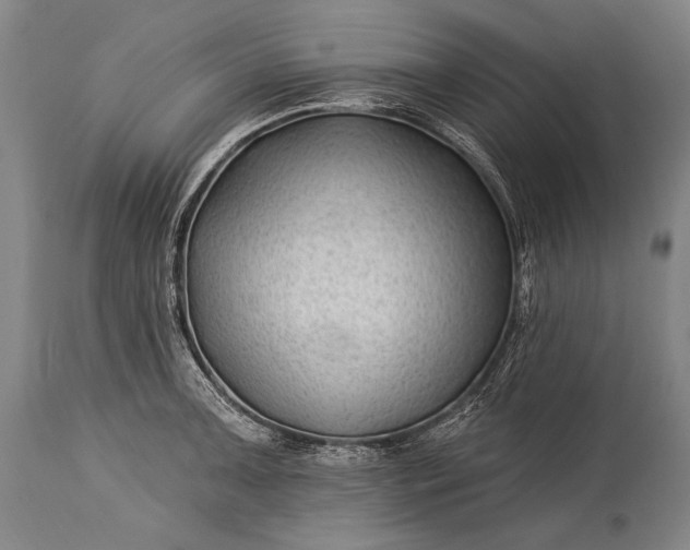 X0000115291091200911161628