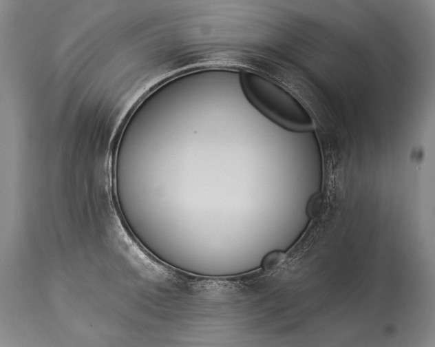 X0000115291092200911161628