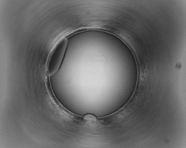 X0000115291093200911161628