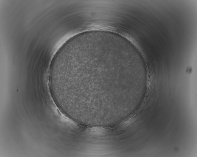 X0000115291094200911161628