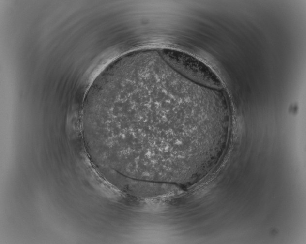 X0000115291097200911161628