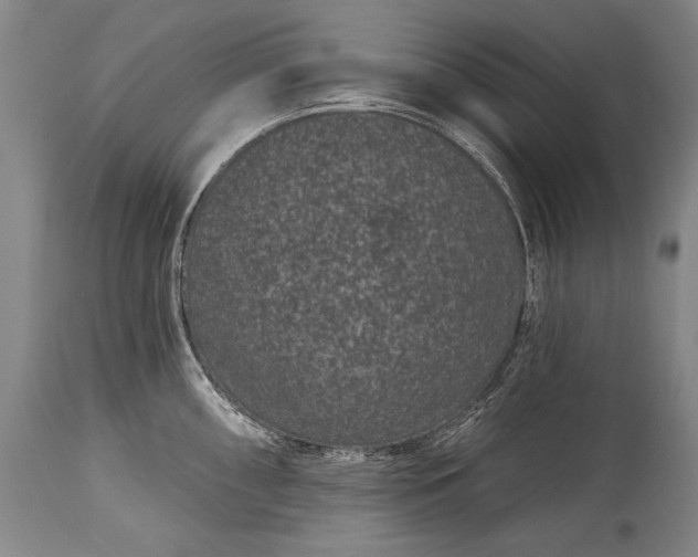 X0000115291098200911161628