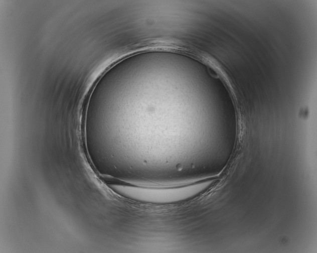 X0000115291099200911161628