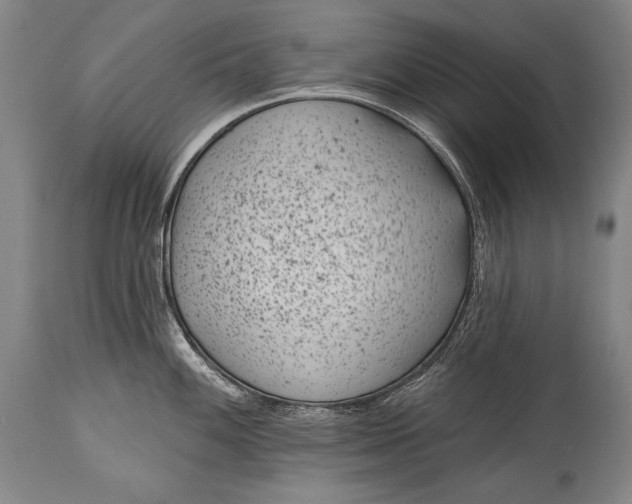 X0000115291100200911161628