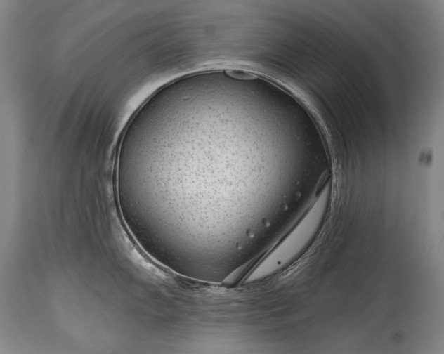 X0000115291102200911161628