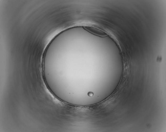 X0000115291103200911161628