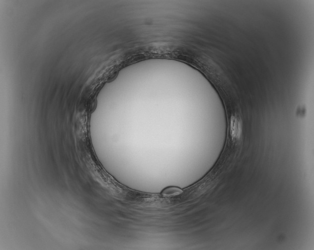 X0000115291107200911161627