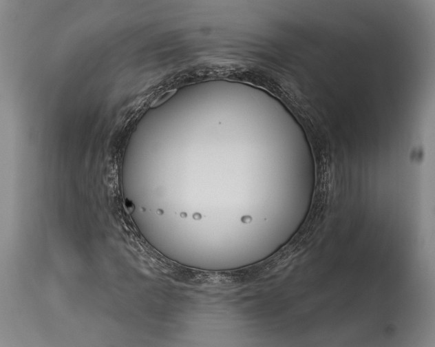 X0000115291109200911161627