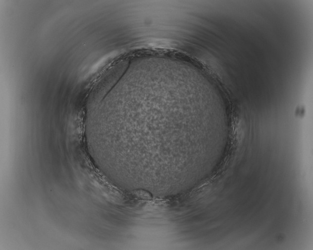 X0000115291110200911161627