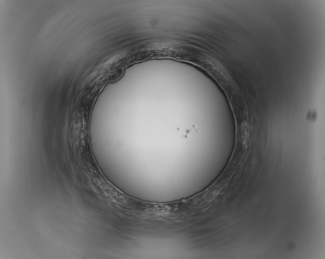 X0000115291111200911161627