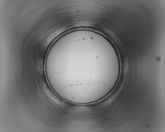 X0000115291113200911161627