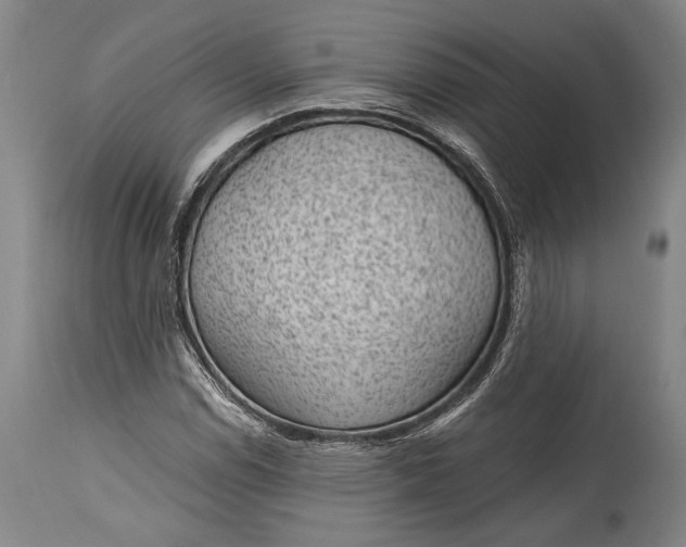 X0000115291114200911161627