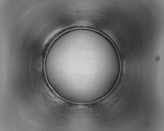 X0000115291115200911161627