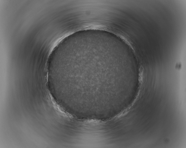 X0000115291117200911161627