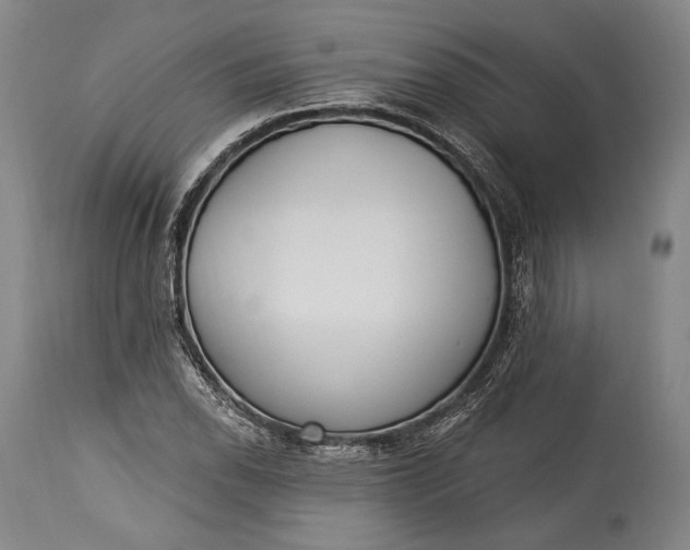 X0000115291118200911161627