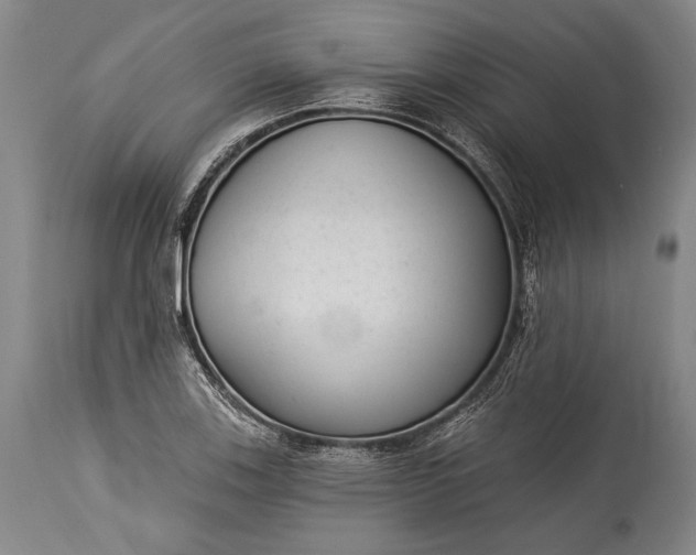 X0000115291123200911161628