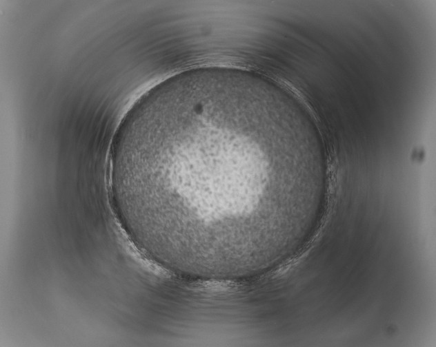 X0000115291125200911161628