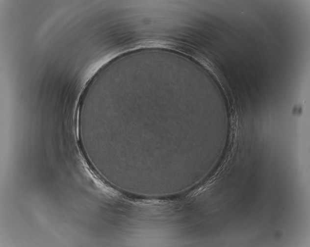 X0000115291127200911161628
