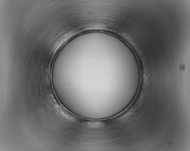 X0000115291129200911161628