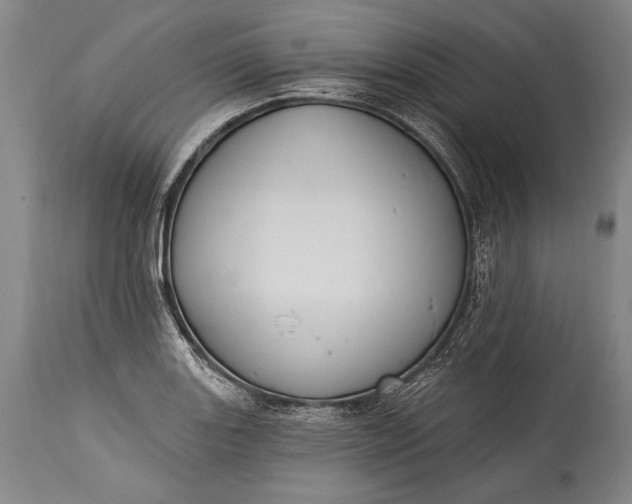 X0000115291131200911161628