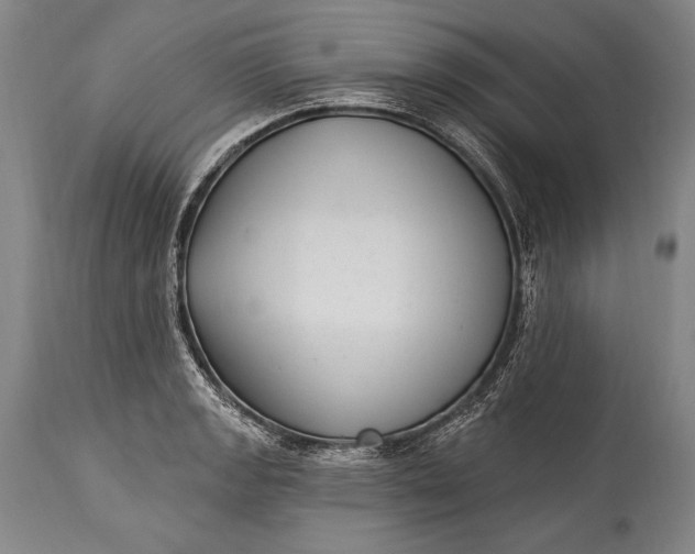 X0000115291133200911161628