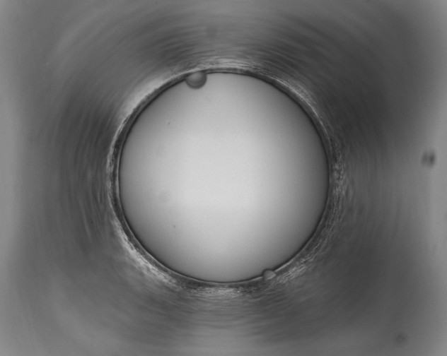 X0000115291135200911161628