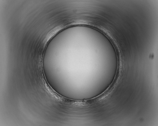 X0000115291137200911161628