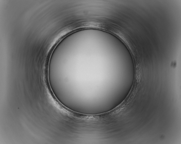 X0000115291139200911161628