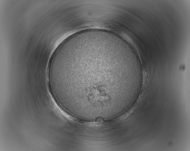 X0000115291141200911161628