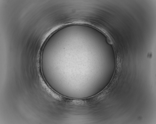 X0000115291142200911161628