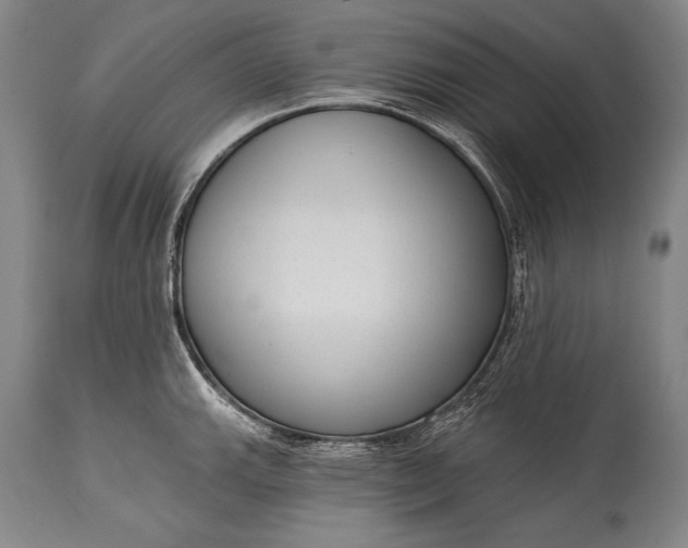X0000115291143200911161628