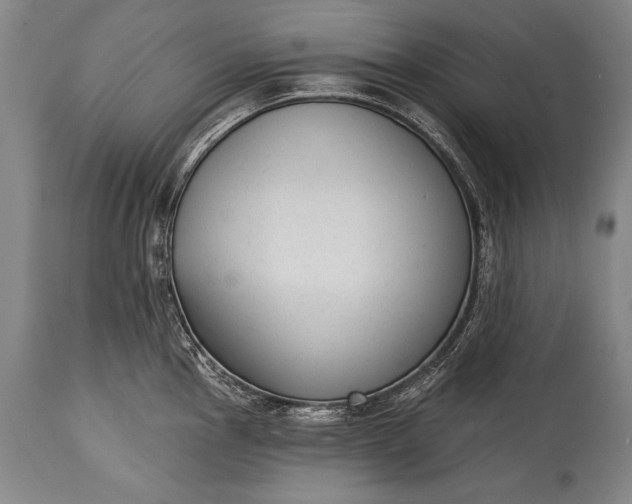 X0000115291145200911161628
