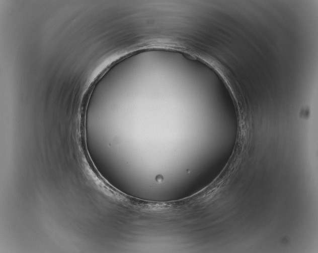 X0000115291147200911161628