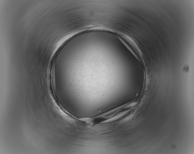 X0000115291149200911161628