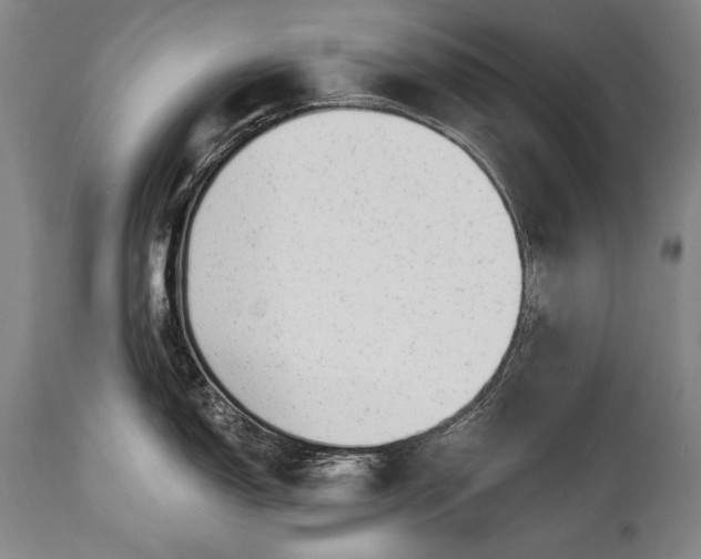 X0000115291150200911161628