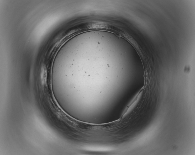 X0000115291151200911161628