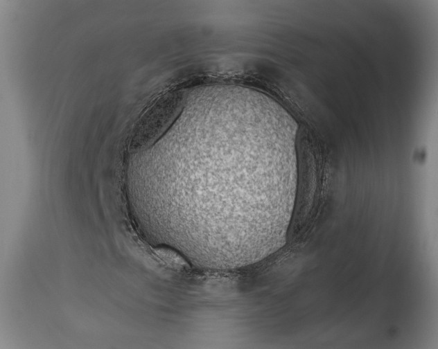 X0000115291153200911161627