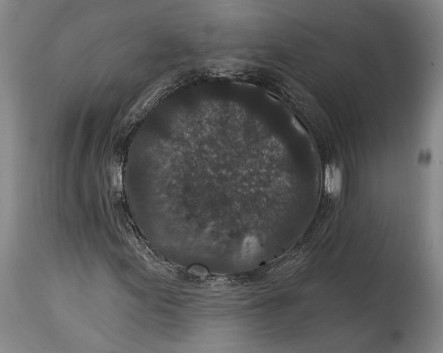 X0000115291155200911161627