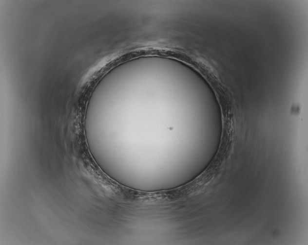 X0000115291159200911161627