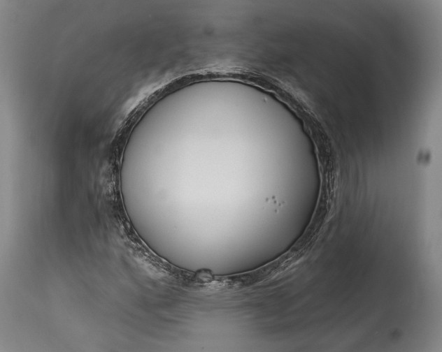X0000115291160200911161627