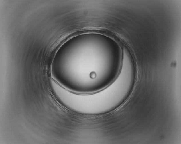 X0000115291161200911161627