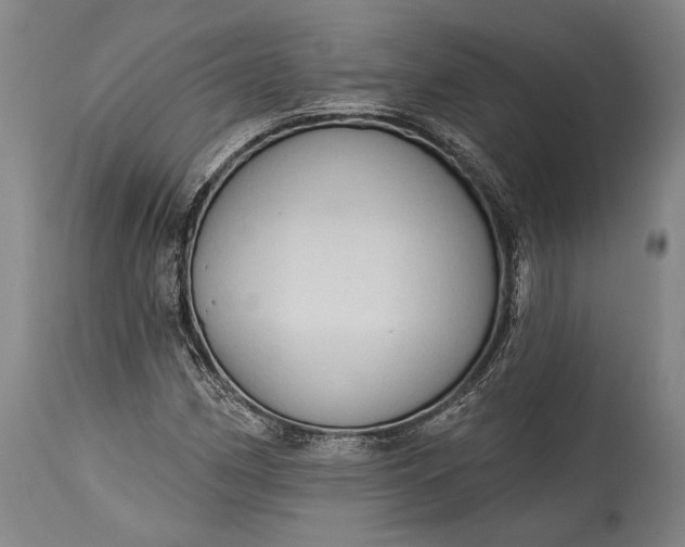 X0000115291162200911161627