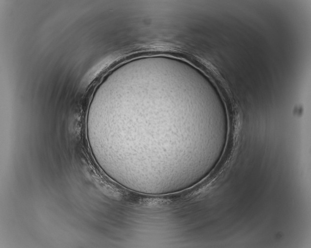 X0000115291163200911161627